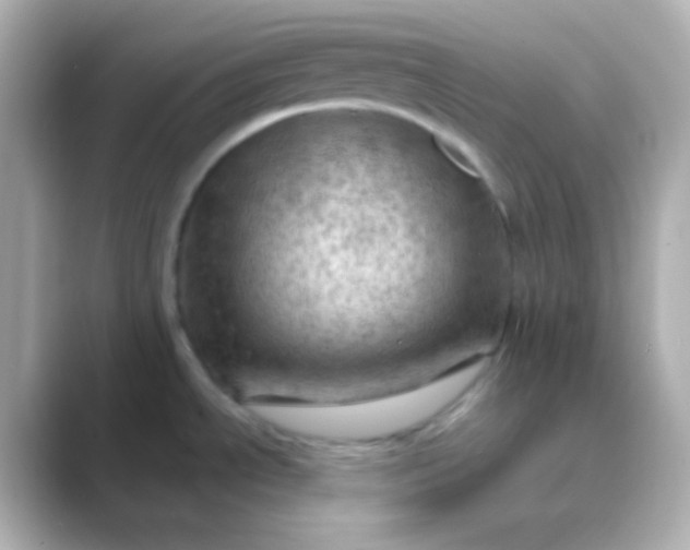 X0000088831534200706211806