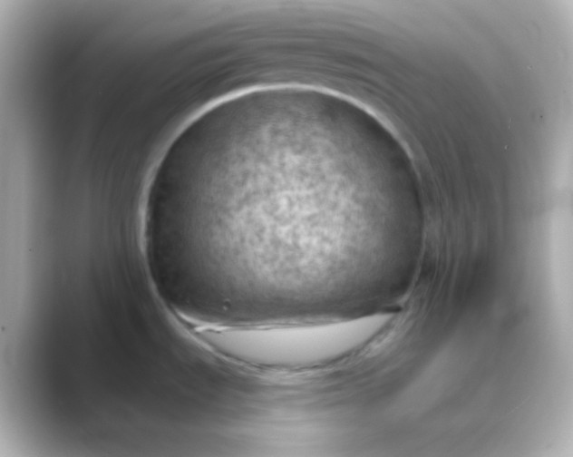 X0000088831535200706211806