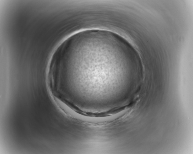 X0000088831536200706211806