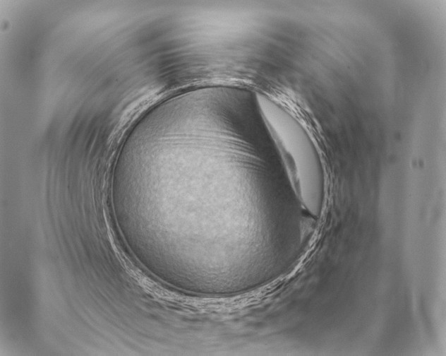 X0000088830001200706281807