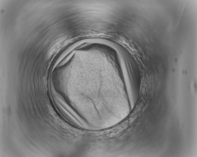 X0000088830002200706281807