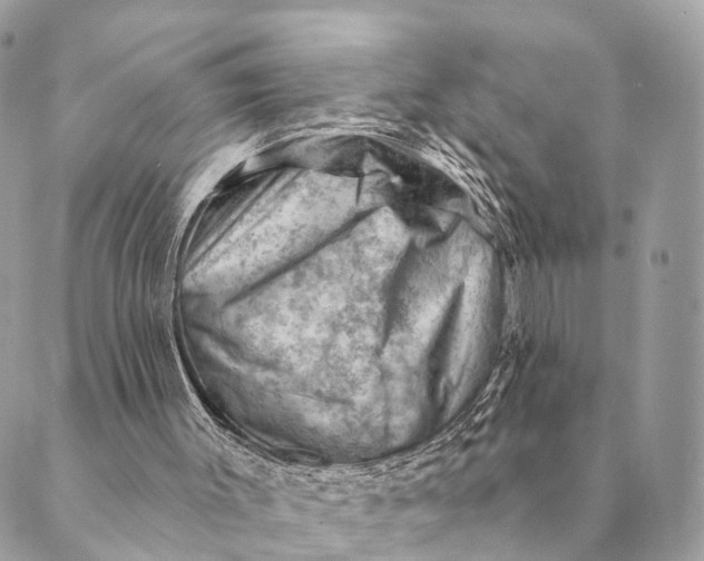 X0000088830003200706281807