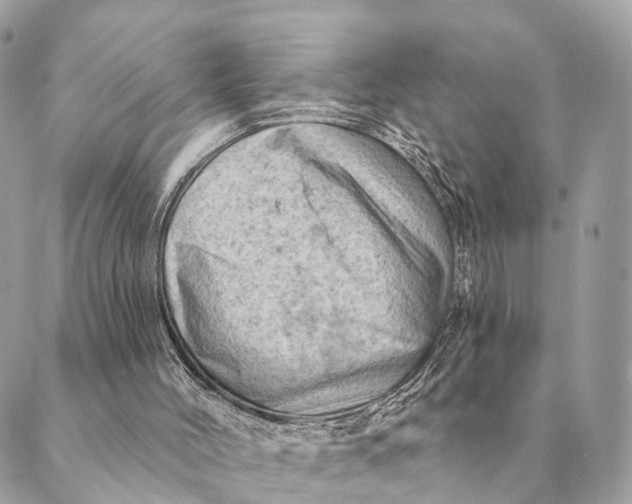 X0000088830004200706281807