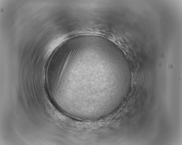 X0000088830005200706281807