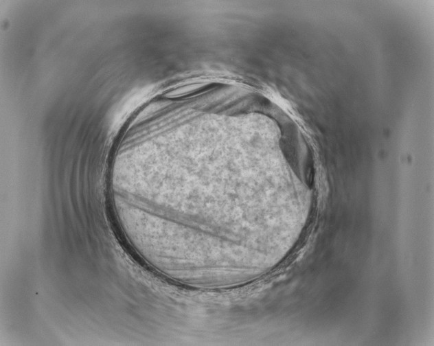 X0000088830007200706281807