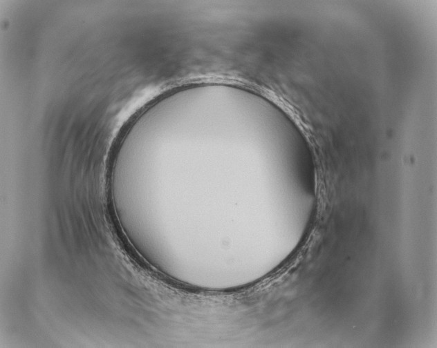 X0000088830008200706281807