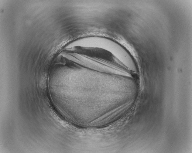 X0000088830009200706281807