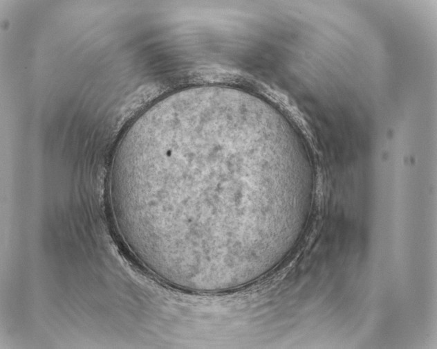 X0000088830010200706281807