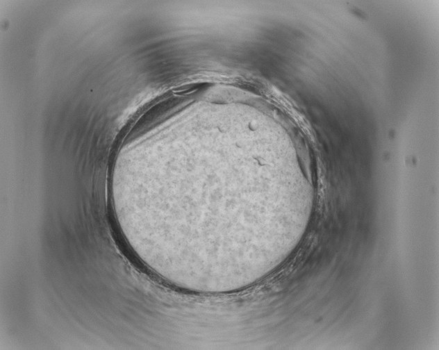 X0000088830011200706281807