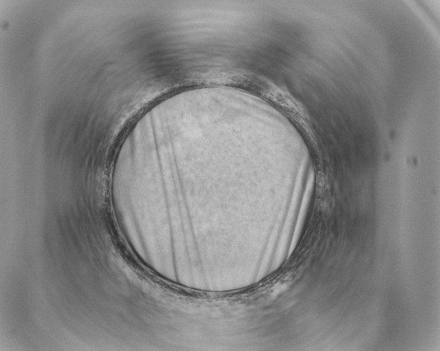 X0000088830012200706281807