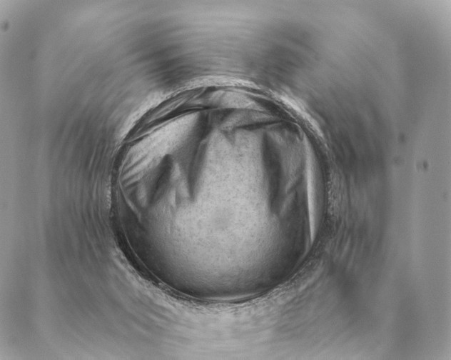 X0000088830015200706281807