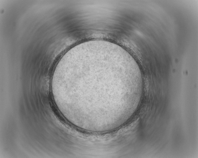 X0000088830016200706281807