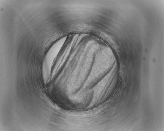 X0000088830017200706281807