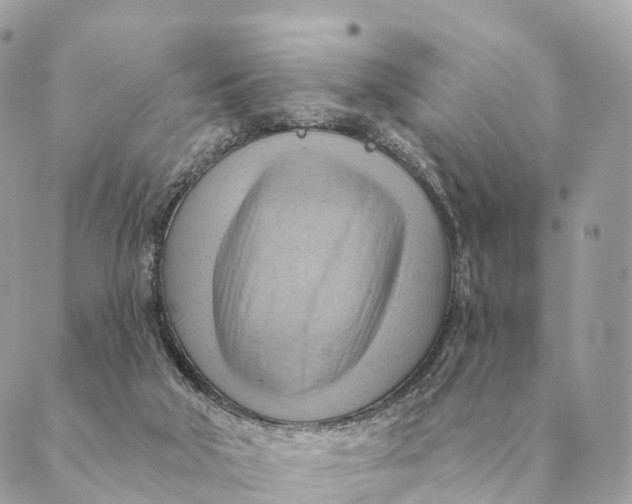 X0000088830018200706281807