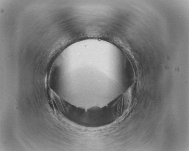 X0000088830019200706281807