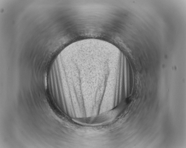 X0000088830020200706281807