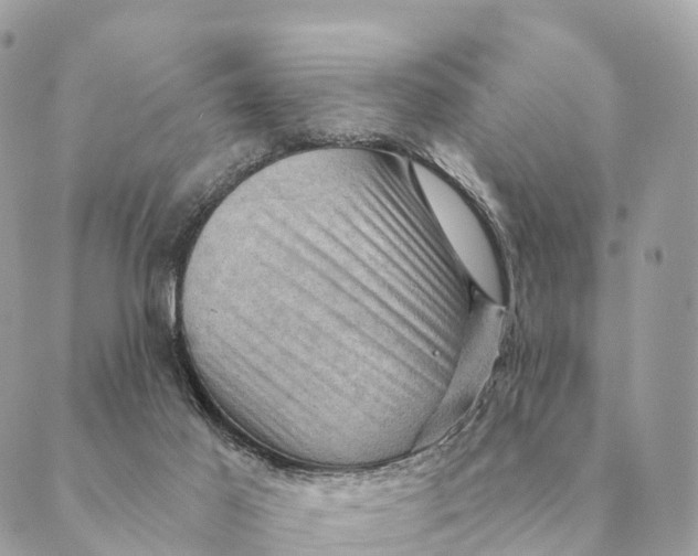 X0000088830021200706281807