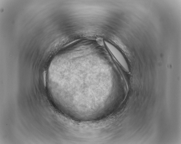 X0000088830022200706281807