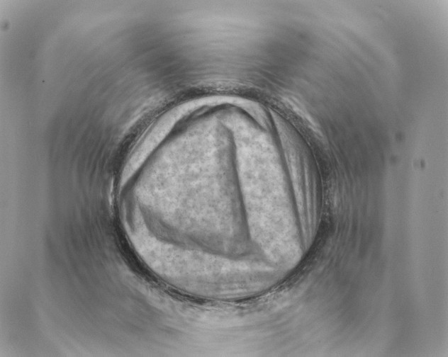 X0000088830024200706281807