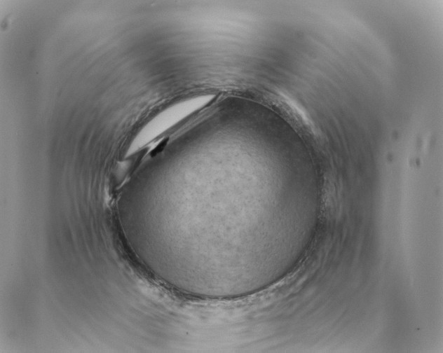 X0000088830025200706281807