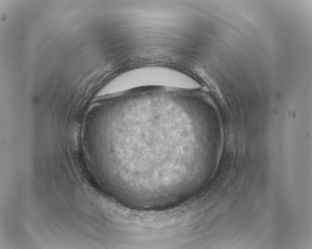 X0000088830026200706281807