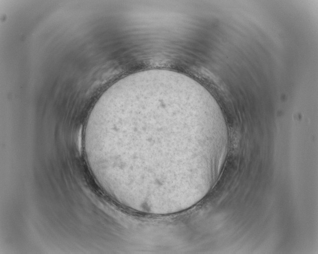 X0000088830028200706281807