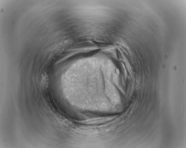 X0000088830029200706281807