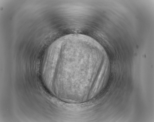 X0000088830030200706281807