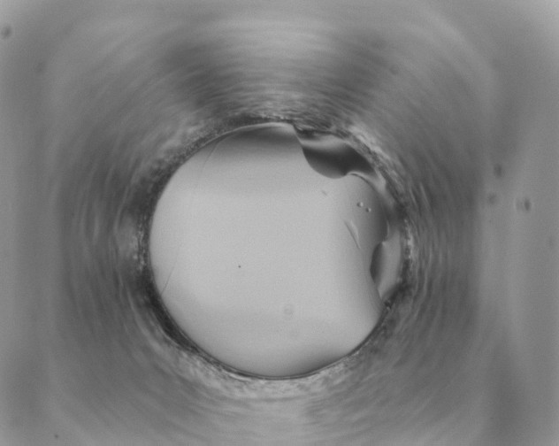 X0000088830031200706281807