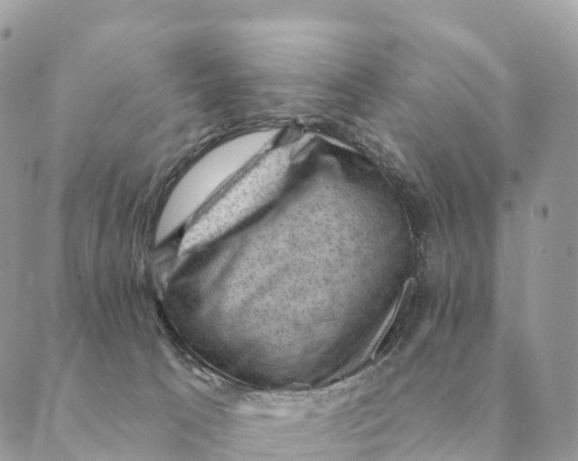 X0000088830033200706281807