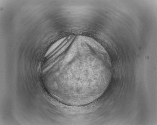 X0000088830034200706281807