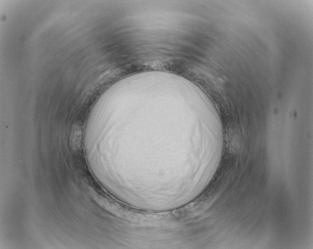 X0000088830036200706281807