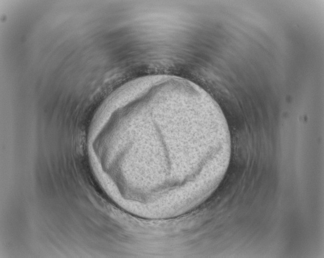 X0000088830038200706281807