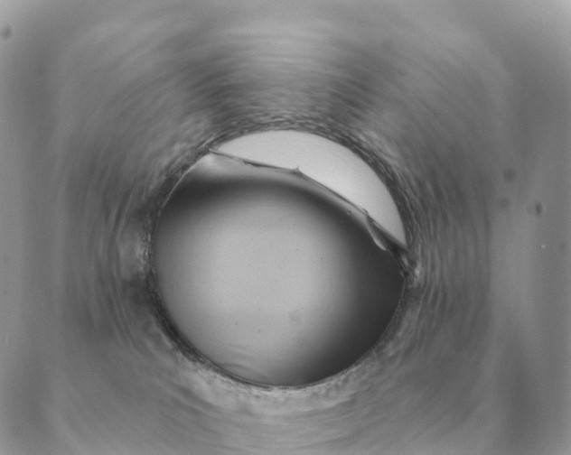 X0000088830039200706281807