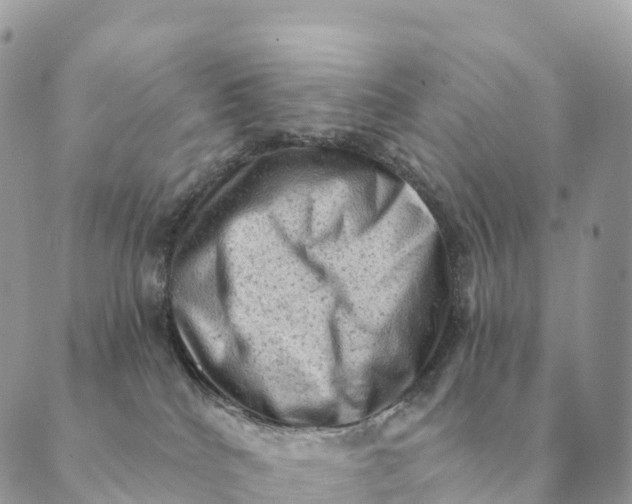 X0000088830040200706281807