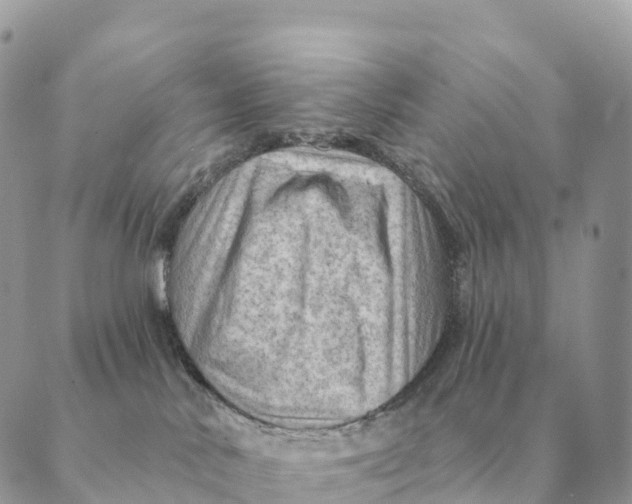 X0000088830042200706281807