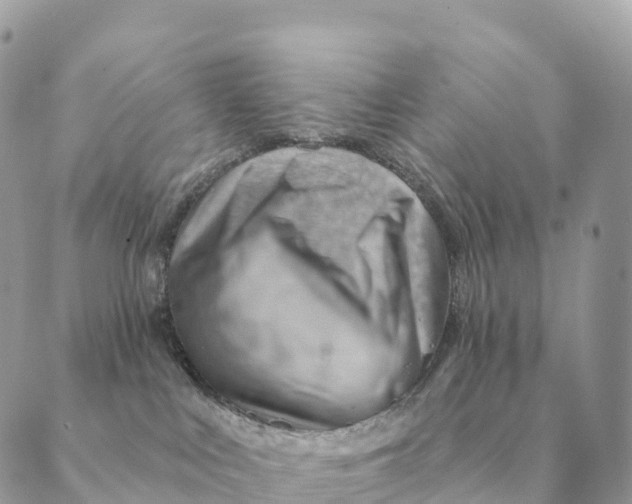 X0000088830043200706281807