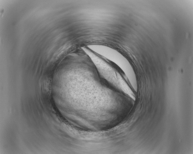 X0000088830044200706281807