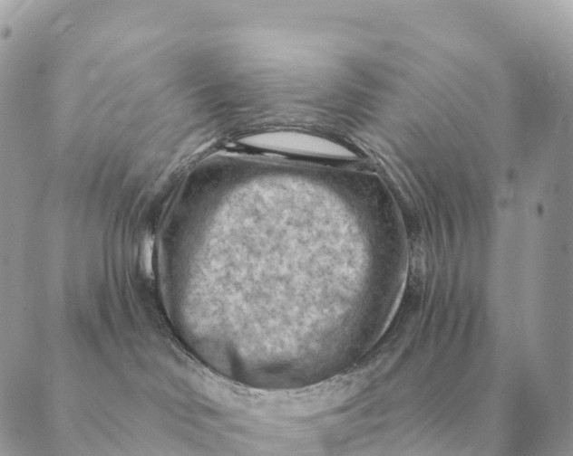 X0000088830046200706281807