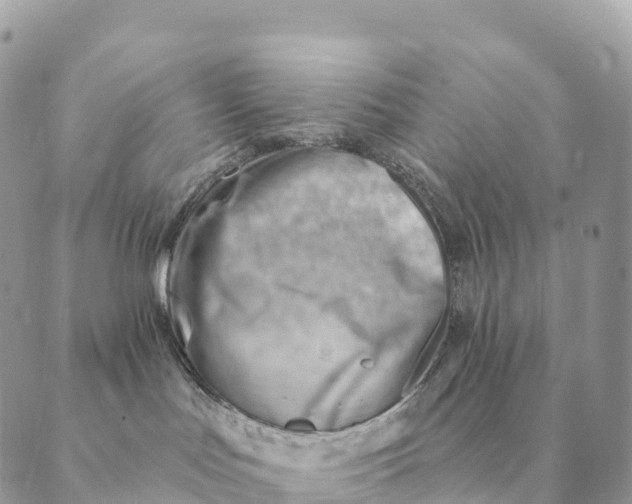 X0000088830047200706281807