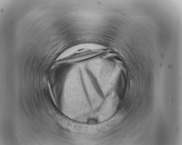 X0000088830048200706281807