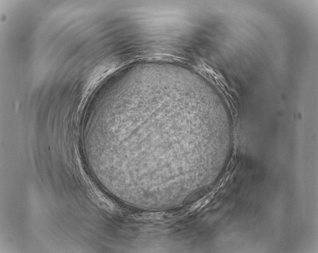 X0000088830049200706281806