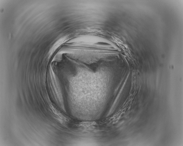 X0000088830051200706281806