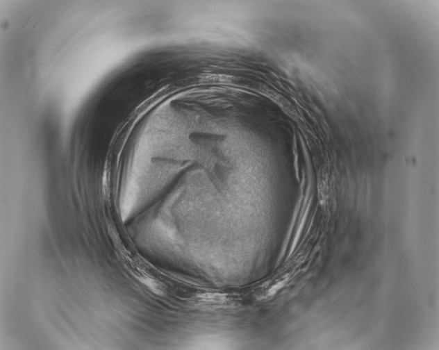 X0000088830052200706281806