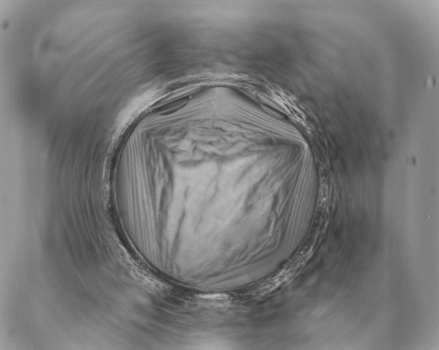 X0000088830053200706281806