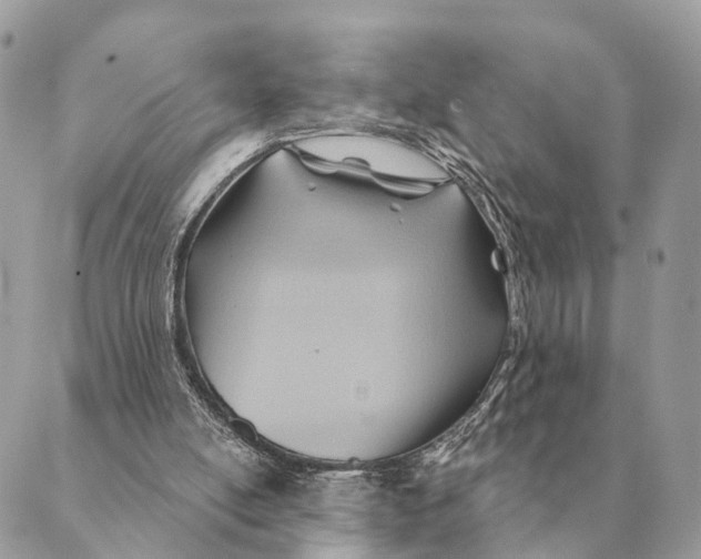 X0000088830054200706281806