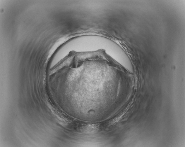 X0000088830056200706281806