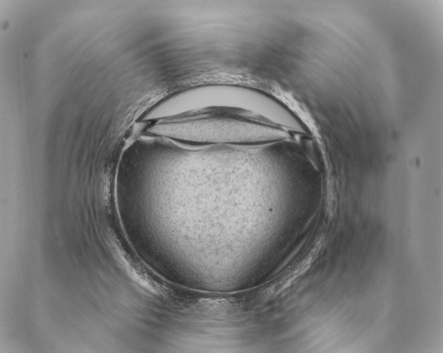 X0000088830057200706281806