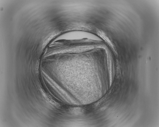 X0000088830058200706281806