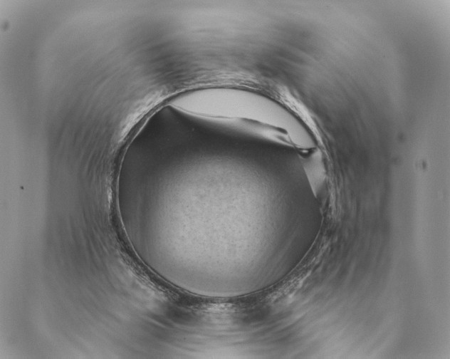 X0000088830059200706281806